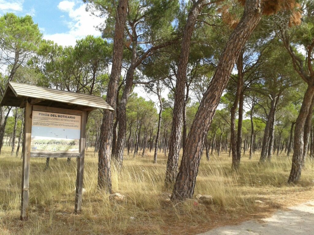 Pinos del Boticario