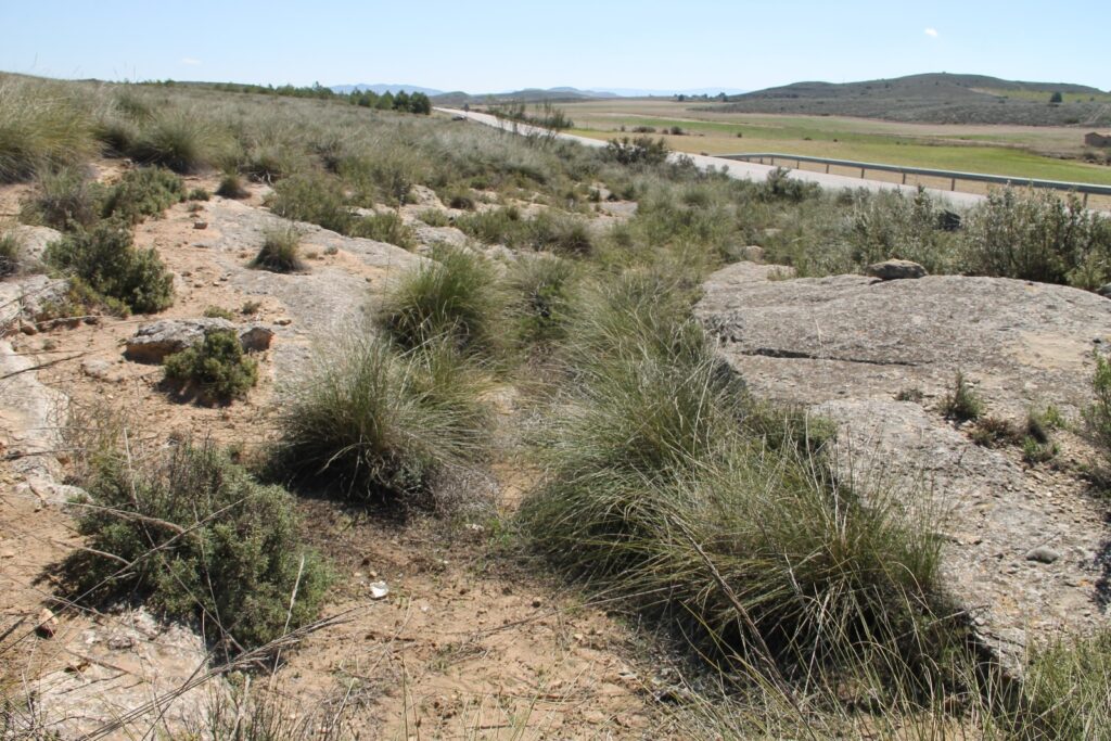 Curva de la vía romana en la roca 