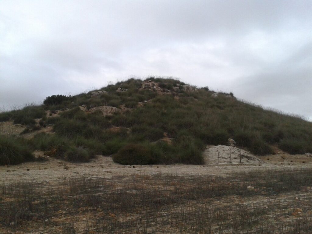  Cerro de los Conejos 